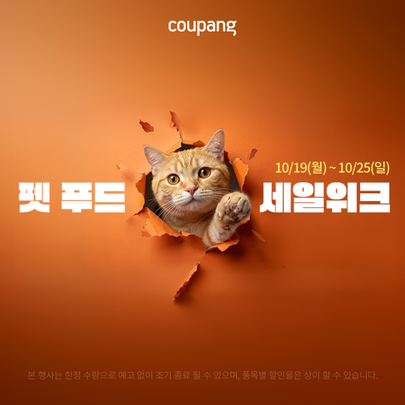 프로모션 배너